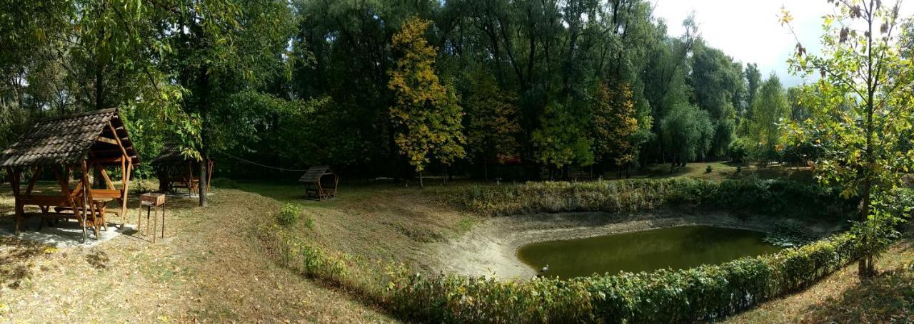 Zolotoy Bereg Hotel Chernihiv Bagian luar foto